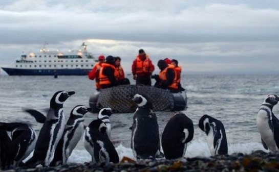 Barco Stella Australis