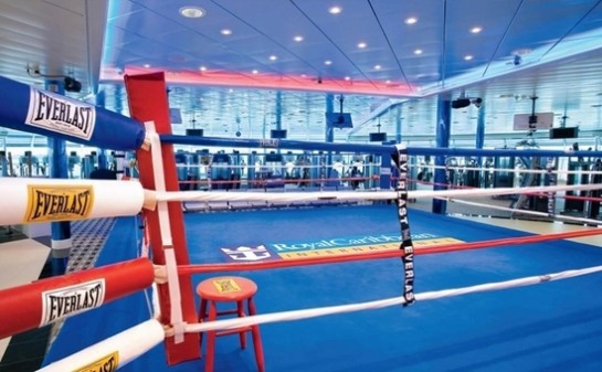 Barco Freedom of the seas