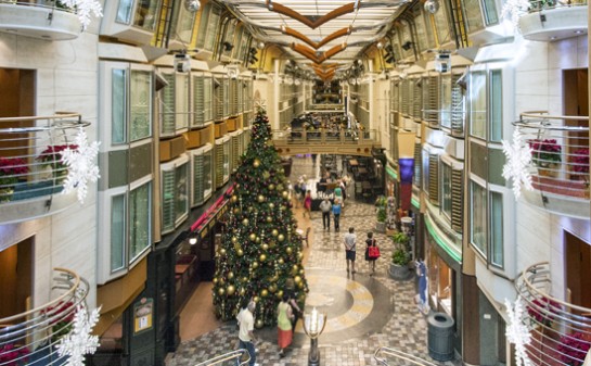 Barco Independence of the Seas