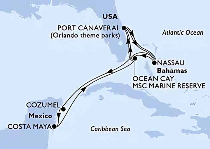 Crucero de 11 días desde Cabo Cañaveral (Orlando) a bordo del MSC Seashore 2026 MSC cruceros