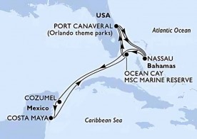 Crucero de 11 días desde Cabo Cañaveral (Orlando) a bordo del MSC Seashore 2026 MSC cruceros
