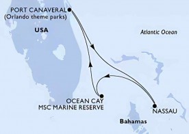 Crucero de 4 días desde Cabo Cañaveral (Orlando) a bordo del MSC Seashore 2027 MSC Cruceros