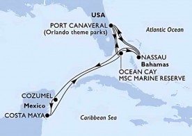 Crucero de 12 días desde Cabo Cañaveral (Orlando) a bordo del MSC Seashore 2026 MSC Cruceros