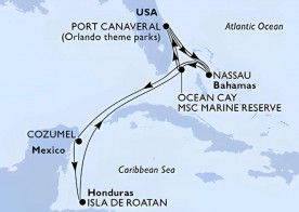 Crucero de 11 días desde Cabo Cañaveral (Orlando) a bordo del MSC Seashore noviembre 2025 MSC Cruceros