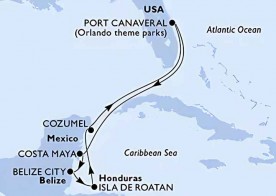 Crucero de 8 días desde Cabo Cañaveral (Orlando) a bordo del MSC Seashore enero 2026 MSC Cruceros