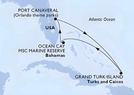 Crucero de 6 días desde Cabo Cañaveral (Orlando) a bordo del MSC Seashore enero 2026 MSC Cruceros