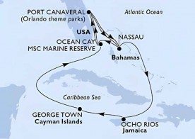 Crucero de 11 días desde Cabo Cañaveral (Orlando) a bordo del MSC Seashore noviembre diciembre 2026 MSC Cruceros