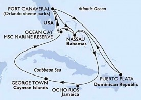 Crucero de 15 días desde Cabo Cañaveral (Orlando) a bordo del MSC Seashore diciembre 2026 MSC Cruceros