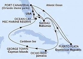 Crucero de 12 días desde Cabo Cañaveral (Orlando) a bordo del MSC Seashore noviembre 2026 MSC Cruceros