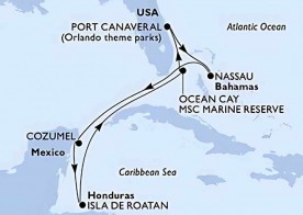 Crucero de 8 días desde Cabo Cañaveral (Orlando) a bordo del MSC Seashore noviembre 2025 MSC Cruceros
