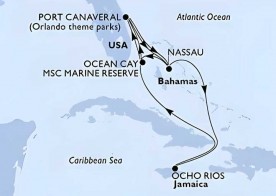 Crucero de 11 días desde Cabo Cañaveral (Orlando) a bordo del MSC Seashore diciembre 2025 MSC Cruceros
