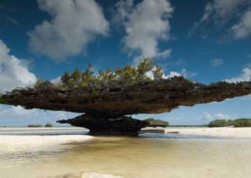 Puerto Aldabra