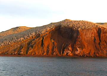 Puerto Cerro Dragón/Rabida (Galapagos)