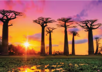 Puerto Toliara (Madagascar)
